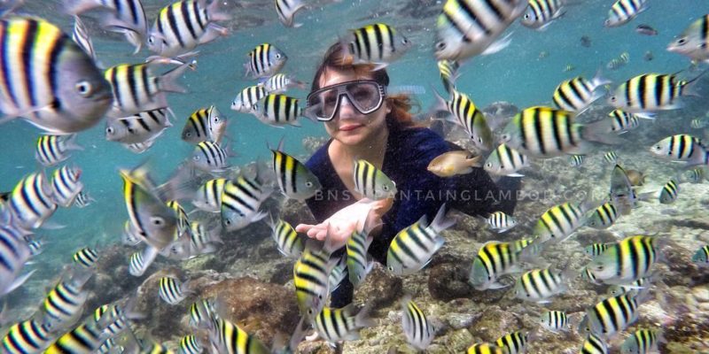 Siapa Bilang Laut Selatan Jawa Ngga Bisa Buat Snorkeling